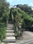 Minami Fangsong