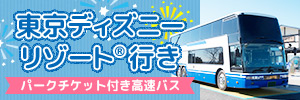東京ディズニーリゾート®へ行こう！名古屋・三重発着。往復の高速バスにパークチケット付き！
