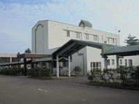 KOSAKA GOLD PALACE