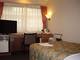 DAINICHI TERMINAL HOTEL_room_pic