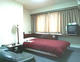 BUSINESS TOYAMA URBAN HOTEL_room_pic