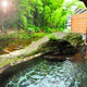 Fukuroda Onsen Omoide Romankan_room_pic