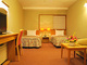 NAKAMACHI FUJI GRAND HOTEL_room_pic