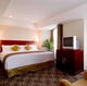 RADISSON HOTEL NARITA_room_pic