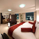 ANA CROWNE PLAZA TOYAMA_room_pic