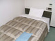 HOTEL ROUTE-INN GIFU_room_pic