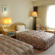 ISE CITY HOTEL ANNEX_room_pic