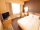 Apa Hotel_room_pic