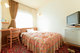 MIZUHODAI DAILY HOTEL_room_pic
