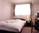 MINAMIHIKONE STATION HOTEL_room_pic
