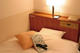 PLAZA HOTEL TOSU_room_pic
