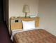 ISEHARA DAIICHI HOTEL_room_pic