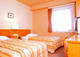 HOTEL ROUTE INN OGAKI INTER_room_pic