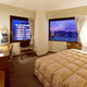TERMINAL HOTEL FUKUI_room_pic