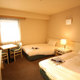 APA HOTEL (TOYAMA)_room_pic