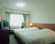 GREEN HOTEL YES OMIHACHIMAN _room_pic