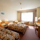 HOTEL CROWN PALAICE HAMAMATSU_room_pic