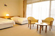 HOTEL LAKE VILLA_room_pic