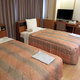 KOCHI ANNEX HOTEL_room_pic
