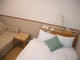 PLAZA HOTEL ATSUGI_room_pic