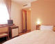 SHIZUOKA TOWN HOTEL_room_pic