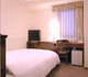 UENO TERMINAL HOTEL_room_pic