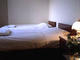 SAKURA HOTEL OOAMITEN_room_pic