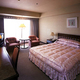 GRAND HOTEL HAMAMATSU (HOTEL NEW OTANI GROUP)_room_pic