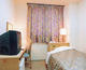 HOTEL ALPHA AYABE_room_pic