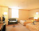 TSUBAME SANJO WASHINGTON HOTEL _room_pic