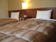 Hotel Route Inn Tosu Ekimae_room_pic