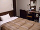 HOTEL ROUTE INN SHIMODATE_room_pic