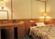 HYUUGA DAIICHI HOTEL_room_pic