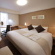 Richmond Hotel Akita Ekimae_room_pic