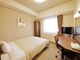 HOTEL ROUTE INN INA INTER_room_pic