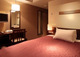 IBIS STYLES KYOTO STATION_room_pic