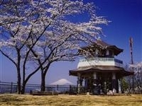 弘法山公園・写真