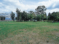 k䗅Lv