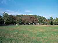 쓇Lv
