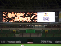 YahooI JAPANh[