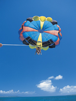 Parasailing Blue honu