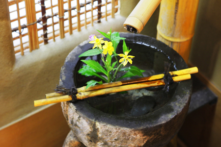 馆内四处点缀著优雅的季节花卉