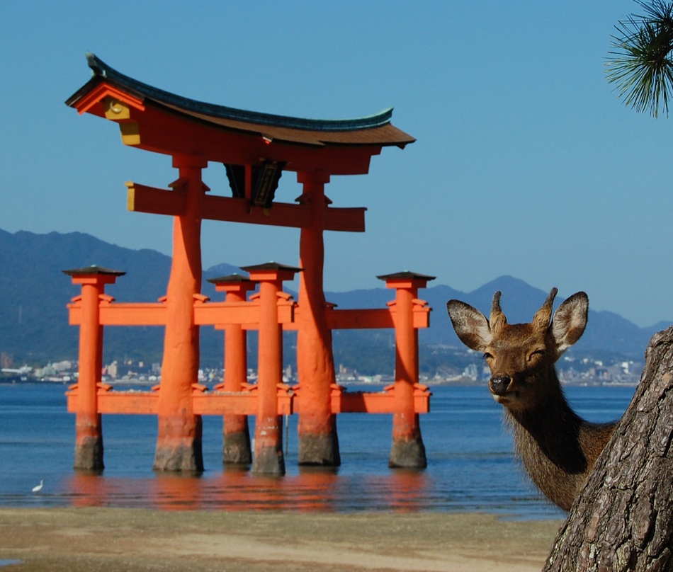Famous Places In Japan 112
