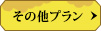̑v
