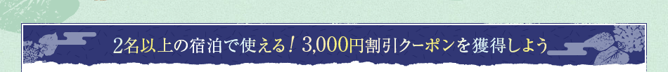 2ȏ̏hŎgI 3,000~N[|l悤