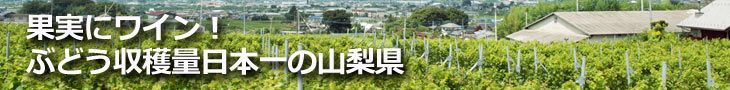 果実にワイン！ぶどう収穫量日本一の山梨県