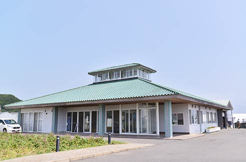 道の駅 白浜野島崎