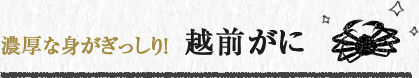 濃厚な身がぎっしり！ 越前がに