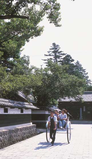 恐竜博物館と越前大野街歩きバス