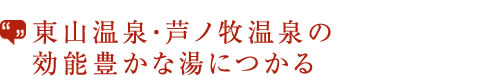 東山温泉・芦ノ牧温泉の効能豊かな湯につかる